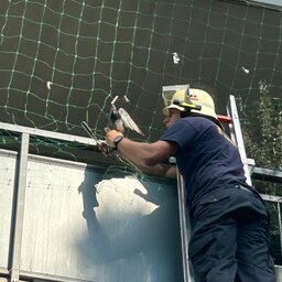 Florian wird bei einem Feuerwehreinsatz aus einem Vogelschutznetz befreit